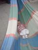 DSC00670.JPG