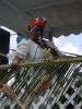 DSC00446.JPG